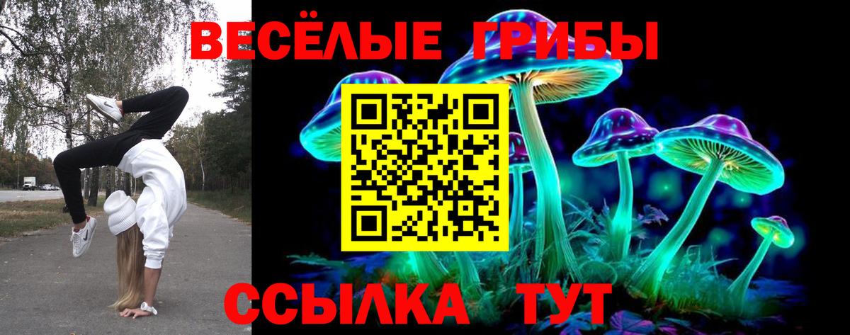 Галлюциногенные грибы прущие грибы  Вход с VPN  Псилоцибиновые грибы MAGIC MUSHROOMS  Можайск 